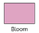 Morilee - 21657 (Blossom 8)