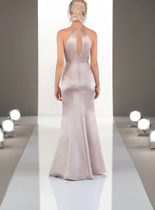 Back view of dres
