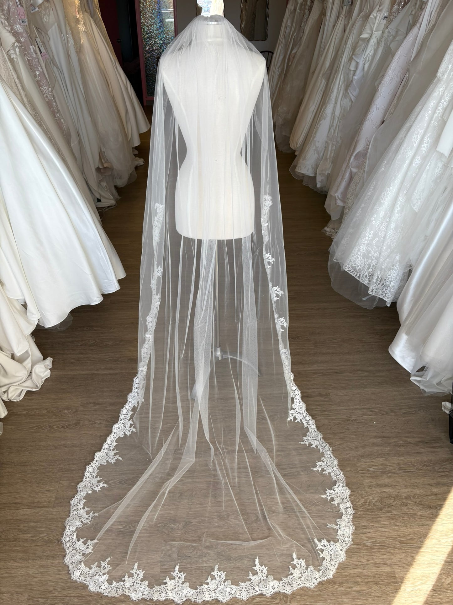 The "Cassandra" - Lace Edged Cathedral Veil