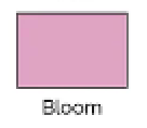 Bloom swatch