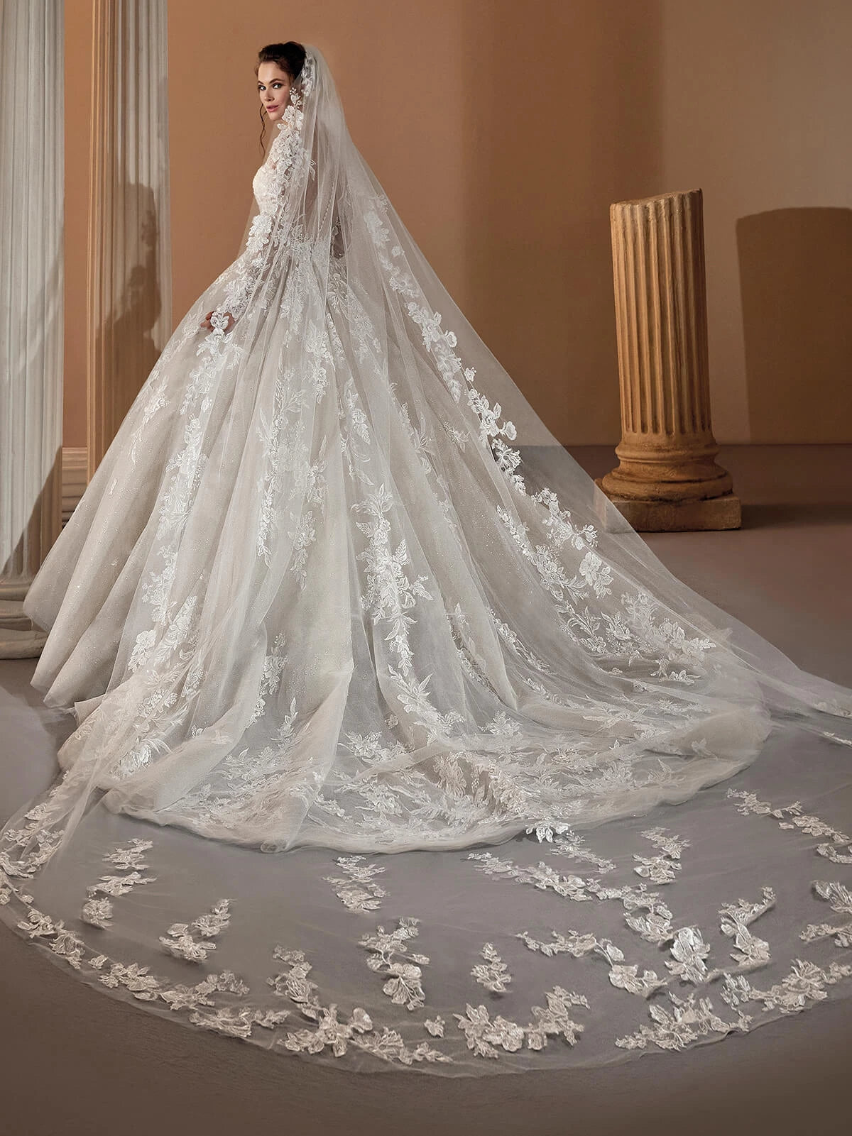 Back of princess ballgown from Demetrios. Long sleeve, tulle, embroidered lace and sparkle from NKIN in Ottawa