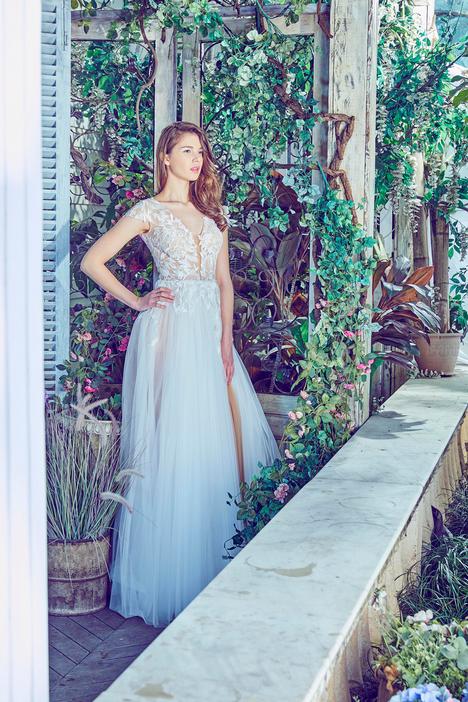 Calla Blanche Cap Sleeve A Line  (Size 10) - NKIN