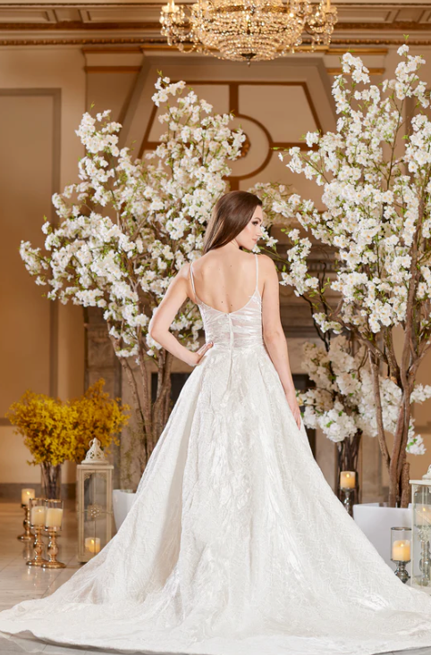 Model wearing Bella by Icon Bridal - a fully beaded ball gown wedding dress, full body back view