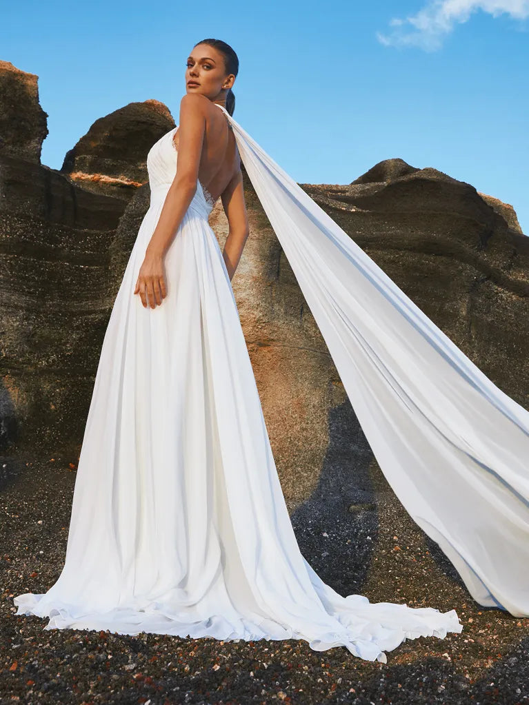 Full body back view of noronha by pronovias